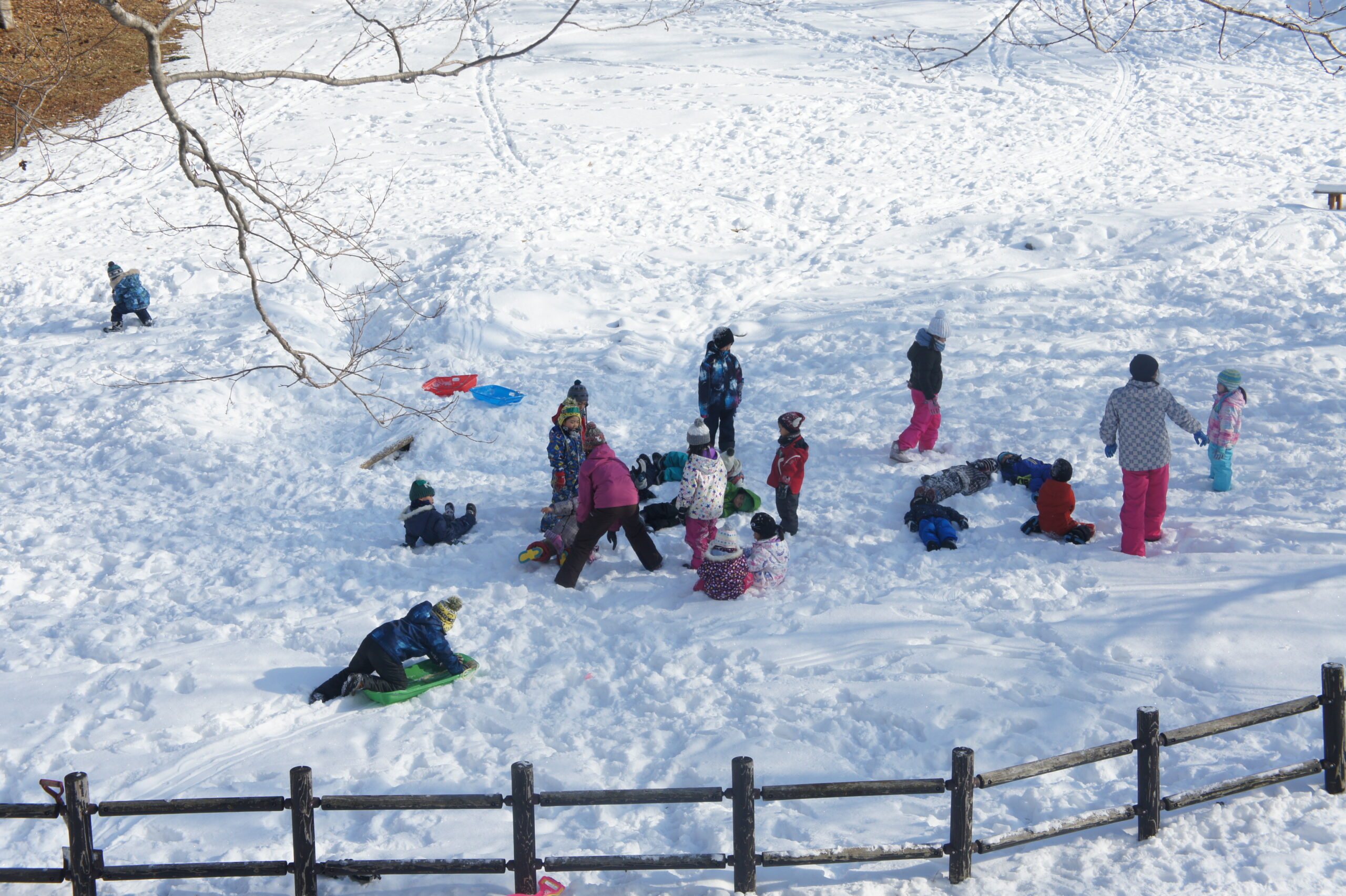 森のようちえん
